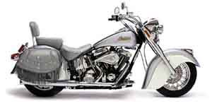  Zoom on Harley-Davidson picture 